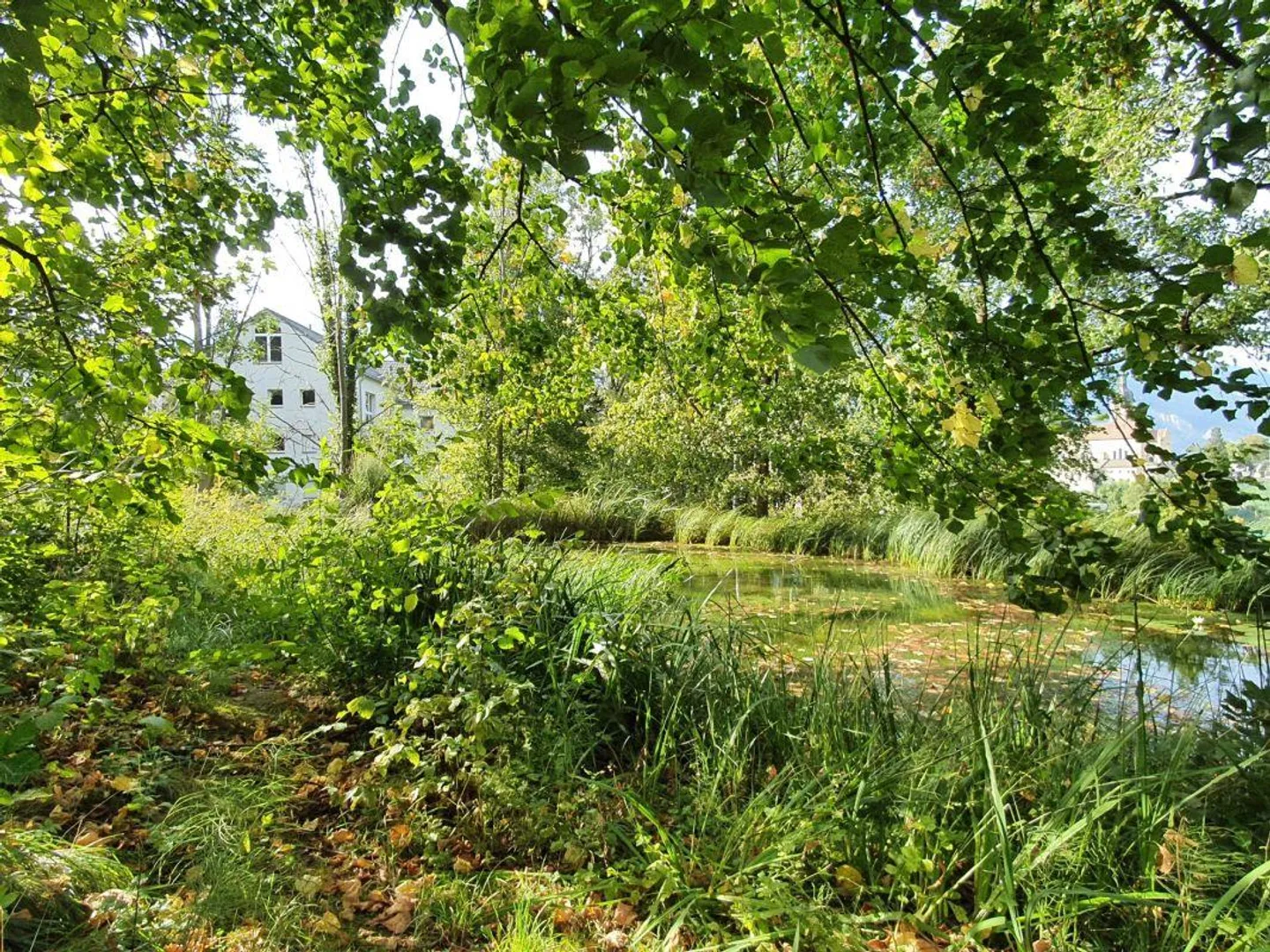 Appartamento di 2.5 locali nel verde - Foto 1 di 5