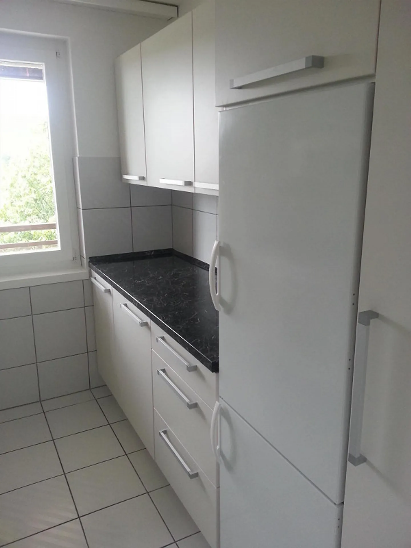 3 1/2 Room Ground Floor Apartment with Sunny Patio - Photo 7 of 19