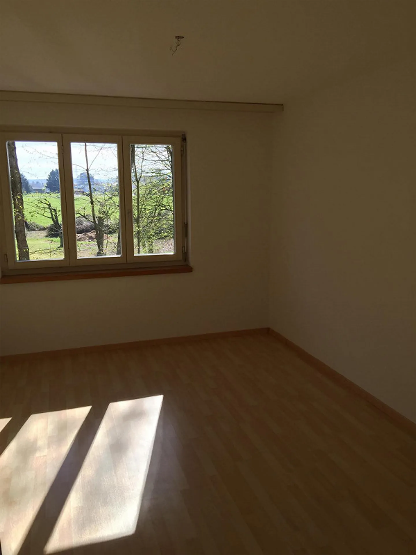 3 1/2 Room Ground Floor Apartment with Sunny Patio - Photo 17 of 19