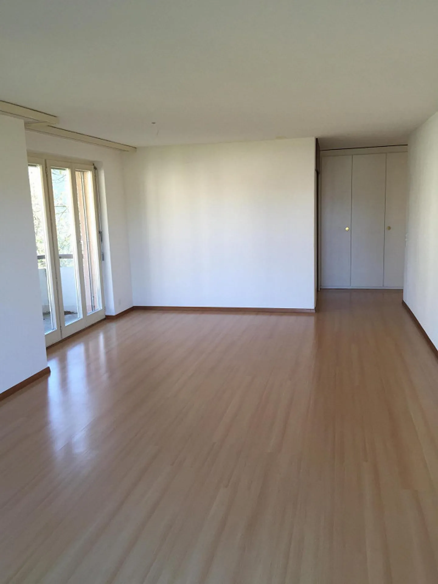 3 1/2 Room Ground Floor Apartment with Sunny Patio - Photo 18 of 19