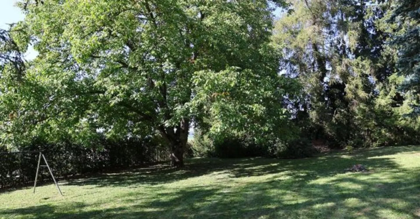 Demeure de caractère avec parc - Photo 9 sur 12