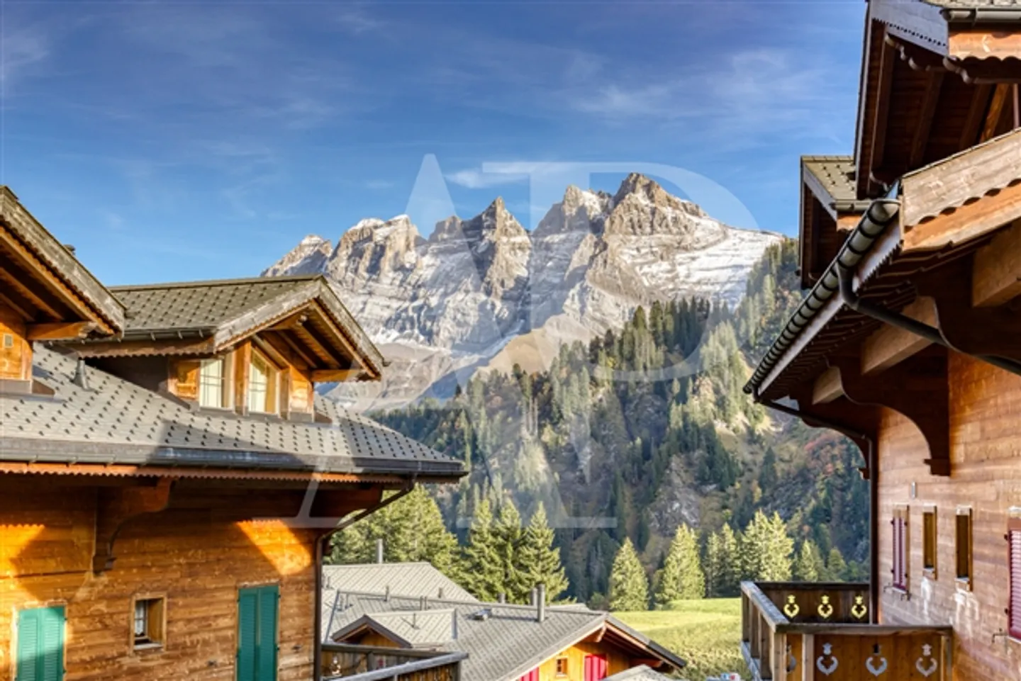 Un'opportunità da cogliere per il tuo inverno a Les Crosets, ai piedi delle piste - Foto 4 di 13