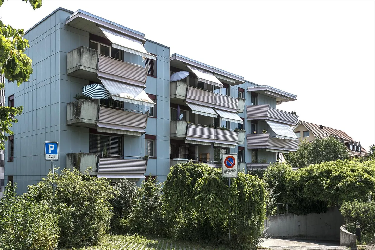 Green Neighborhood - Photo 2 of 2