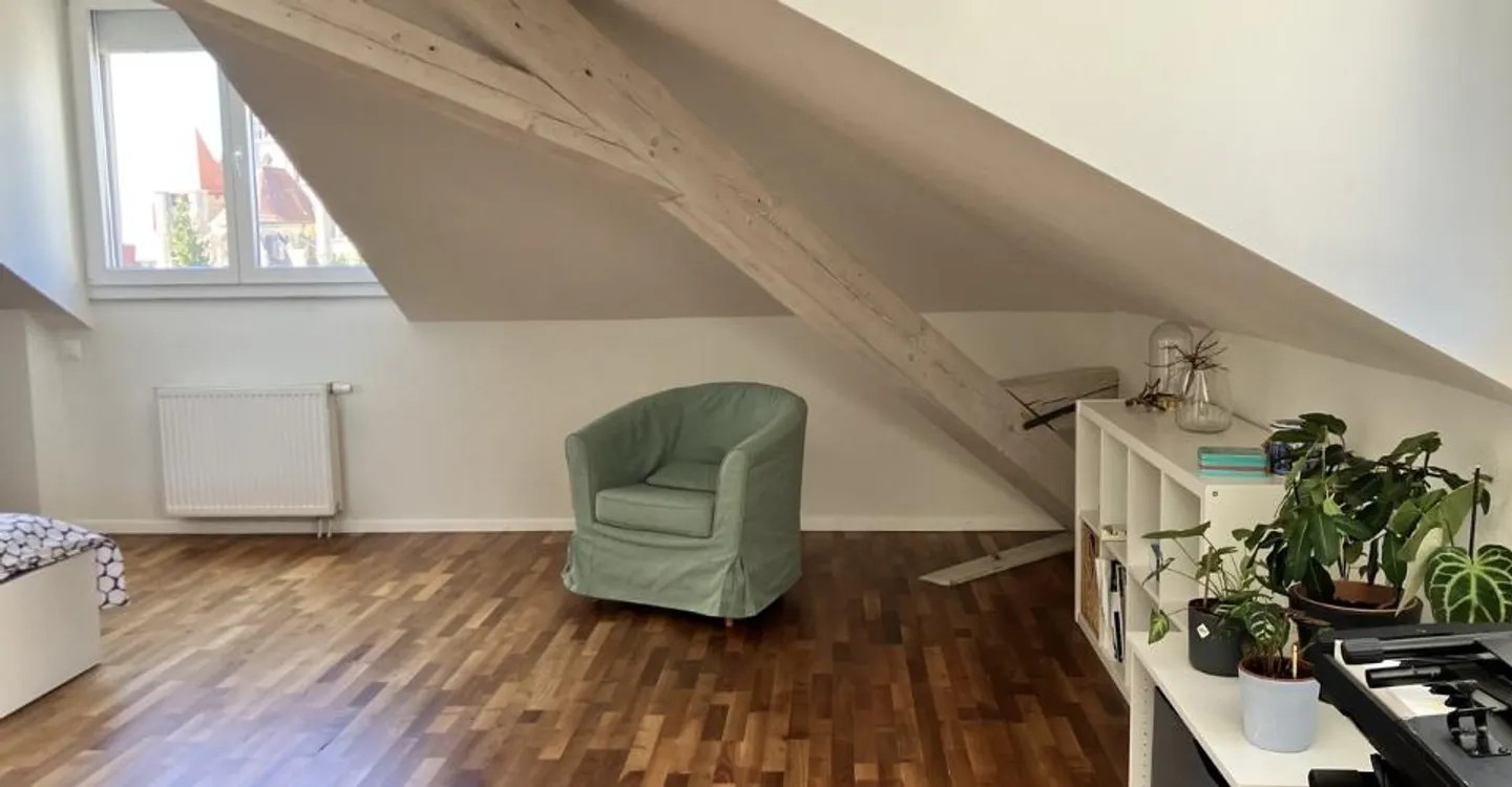 Loft nel centro di Losanna - Foto 2 di 7