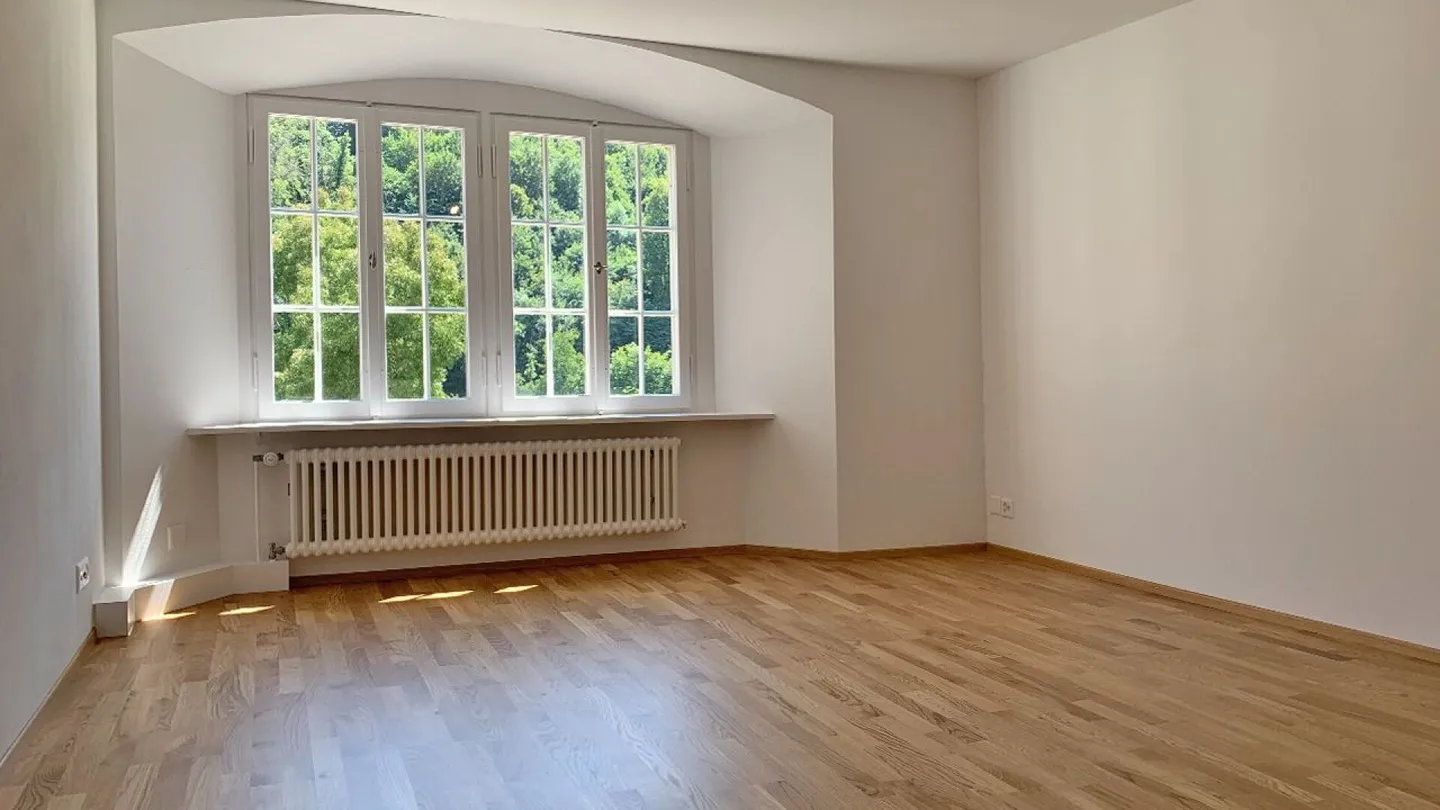 4-room city apartment with a view of the Rhine (2 bedrooms) - Photo 1 of 7