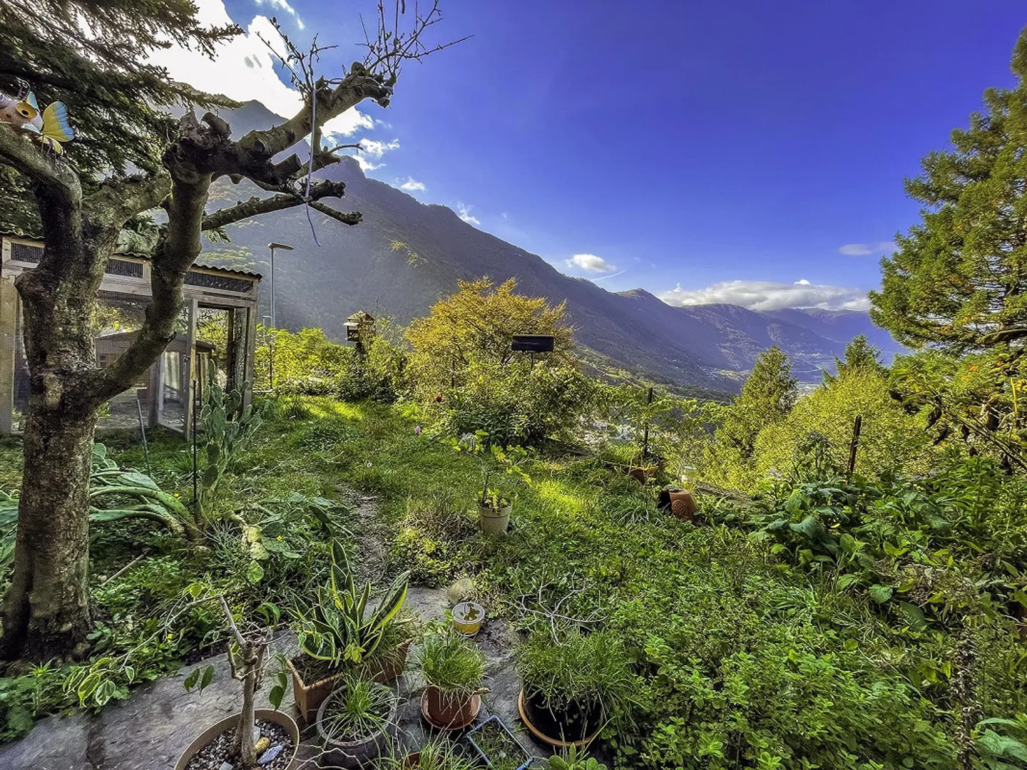 Bella casa unifamiliare e splendido giardino con vista lago - Foto 1 di 19