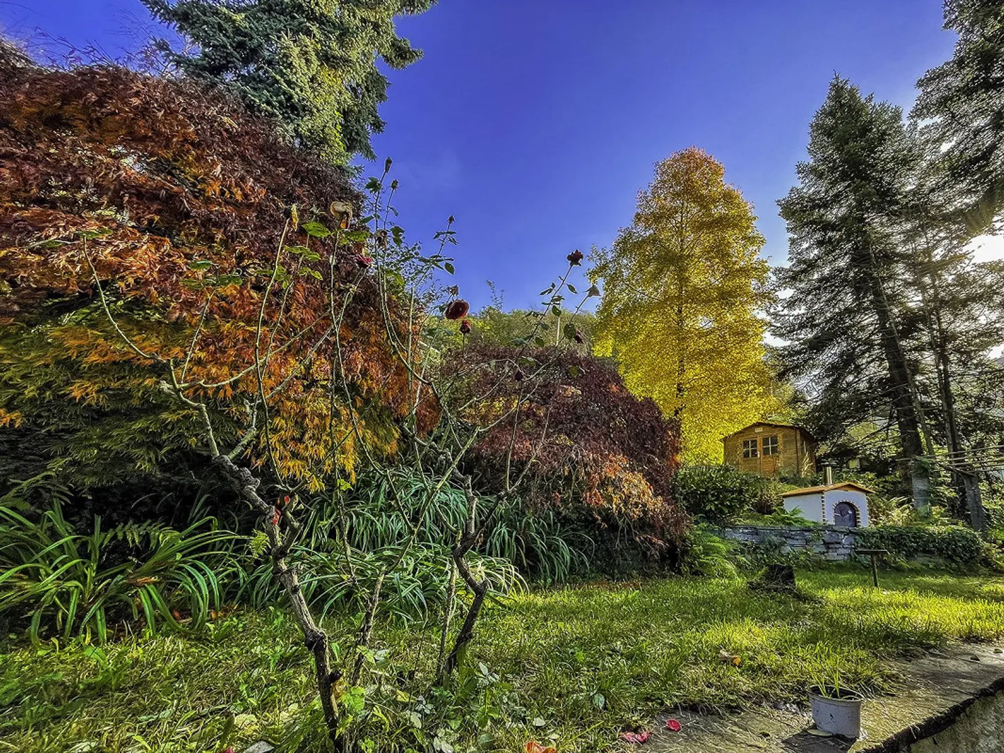 Bella casa unifamiliare e splendido giardino con vista lago - Foto 2 di 19