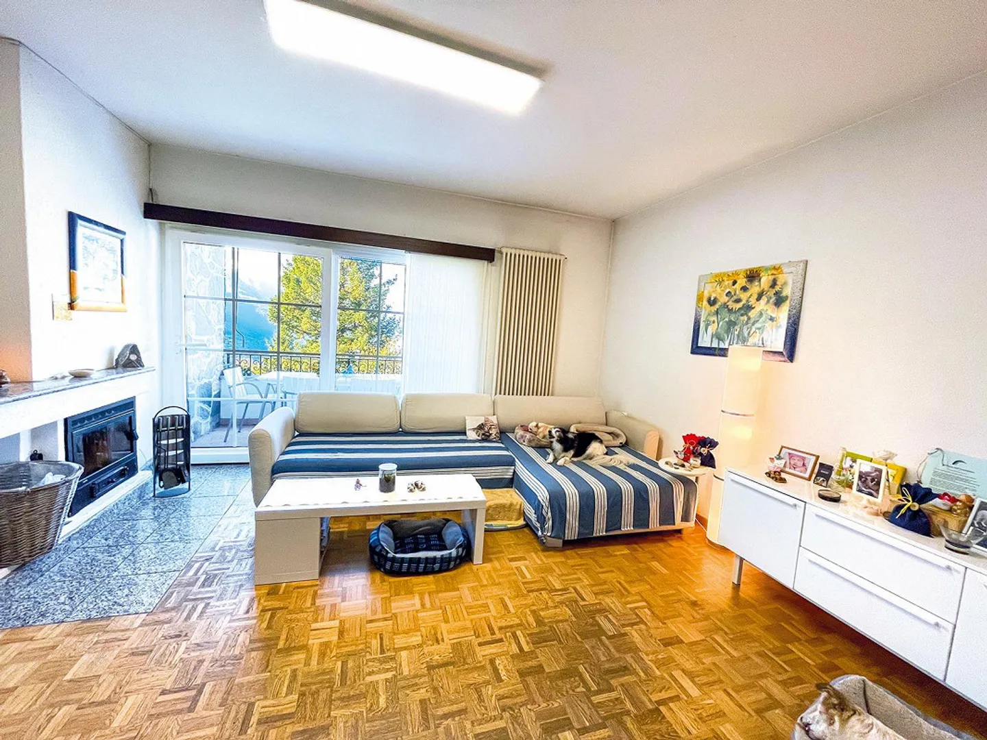 Bella casa unifamiliare e splendido giardino con vista lago - Foto 7 di 19