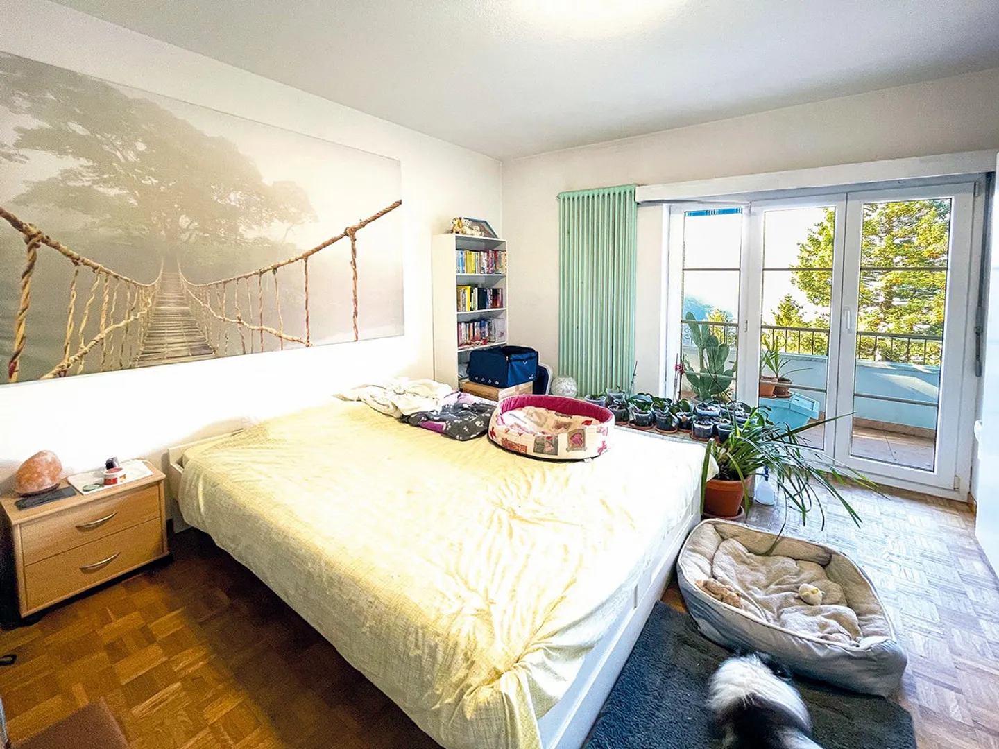 Bella casa unifamiliare e splendido giardino con vista lago - Foto 10 di 19