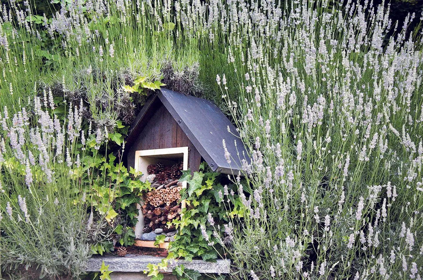 Bella casa unifamiliare e splendido giardino con vista lago - Foto 19 di 19