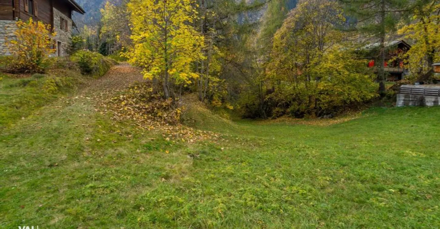 Terreno edificabile a Blatten vicino a Naters - Paradiso naturale nella regione dell'Aletsch - Foto 4 di 10