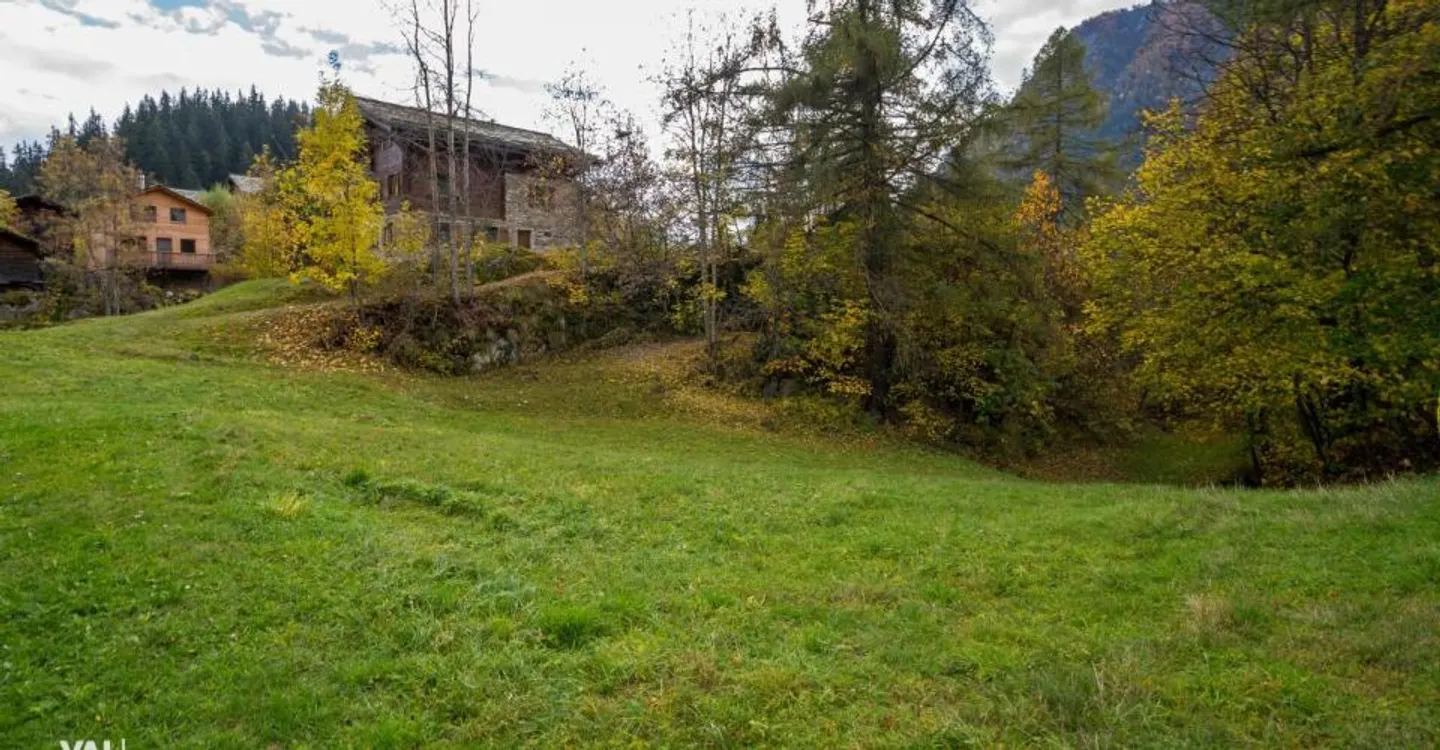 Terreno edificabile a Blatten vicino a Naters - Paradiso naturale nella regione dell'Aletsch - Foto 5 di 10