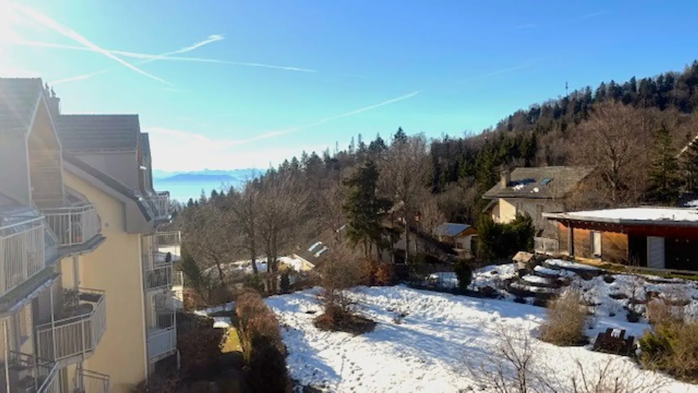 Beautiful 3.5-room apartment with nice distance - Photo 2 of 9