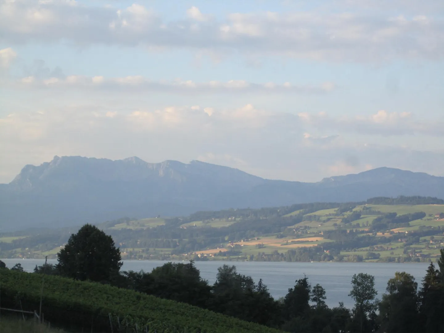 Experience Magical Sunsets at Lake Sempach - Photo 12 of 12