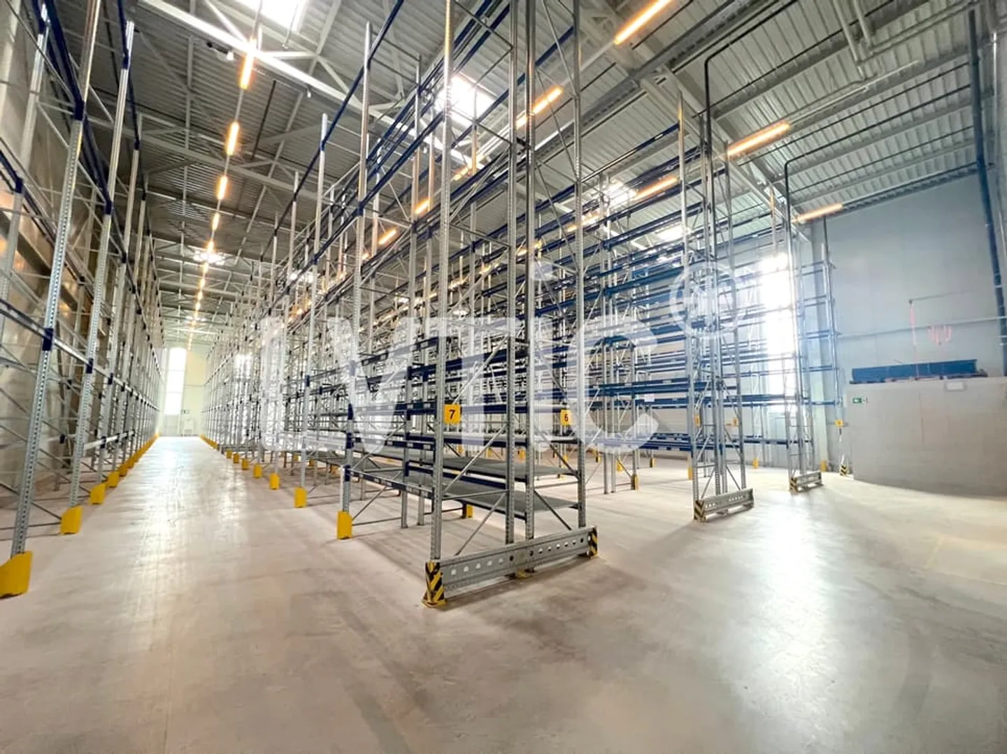 Magazzino logistico di 1900 m2 in affitto a Echandens - Foto 3 di 12