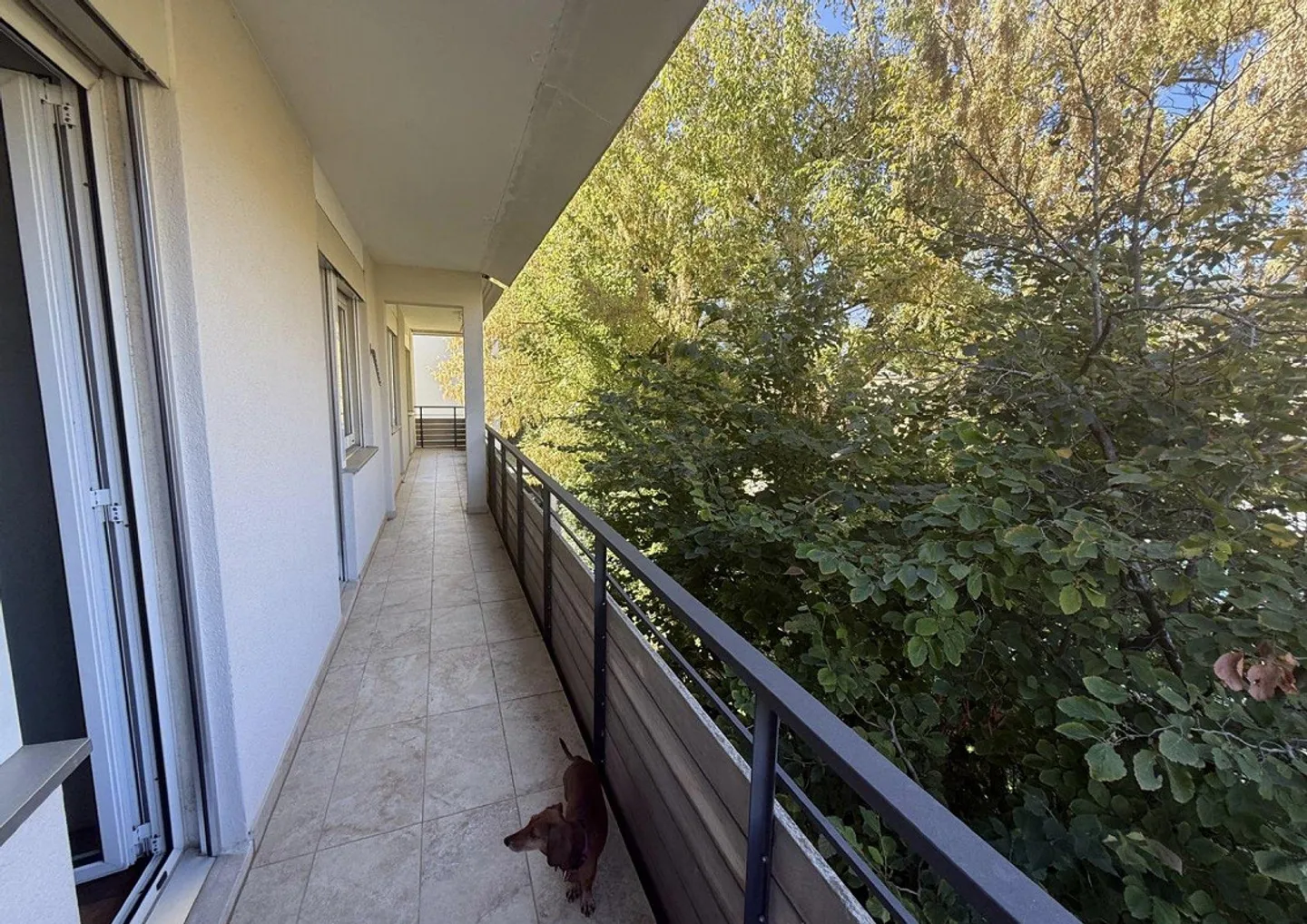 Appartement lumineux à Ponte Capriasca avec piscine - ID 23946 - Photo 15 sur 22