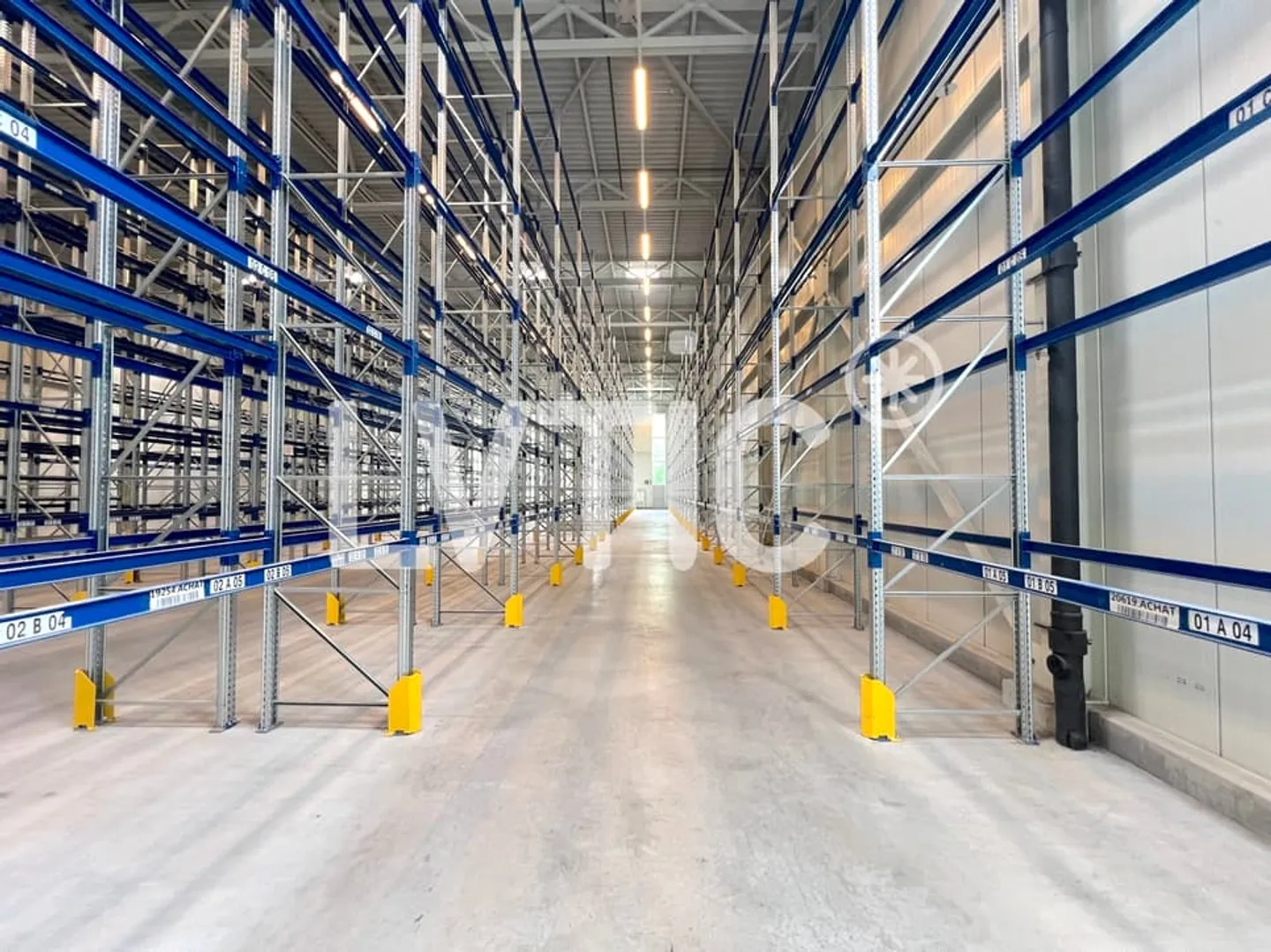 Magazzino logistico di 1900 m2 in affitto a Echandens - Foto 5 di 12