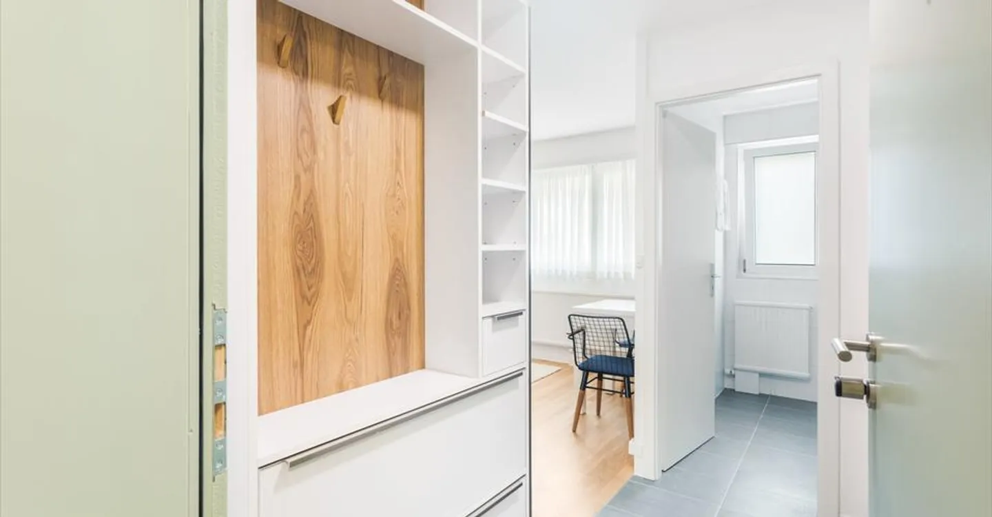 ✨ Monolocale Moderno Arredato in Affitto a Losanna - Sallaz – Posizione Ideale & Prezzo Imbattibile! ✨ - Foto 5 di 6