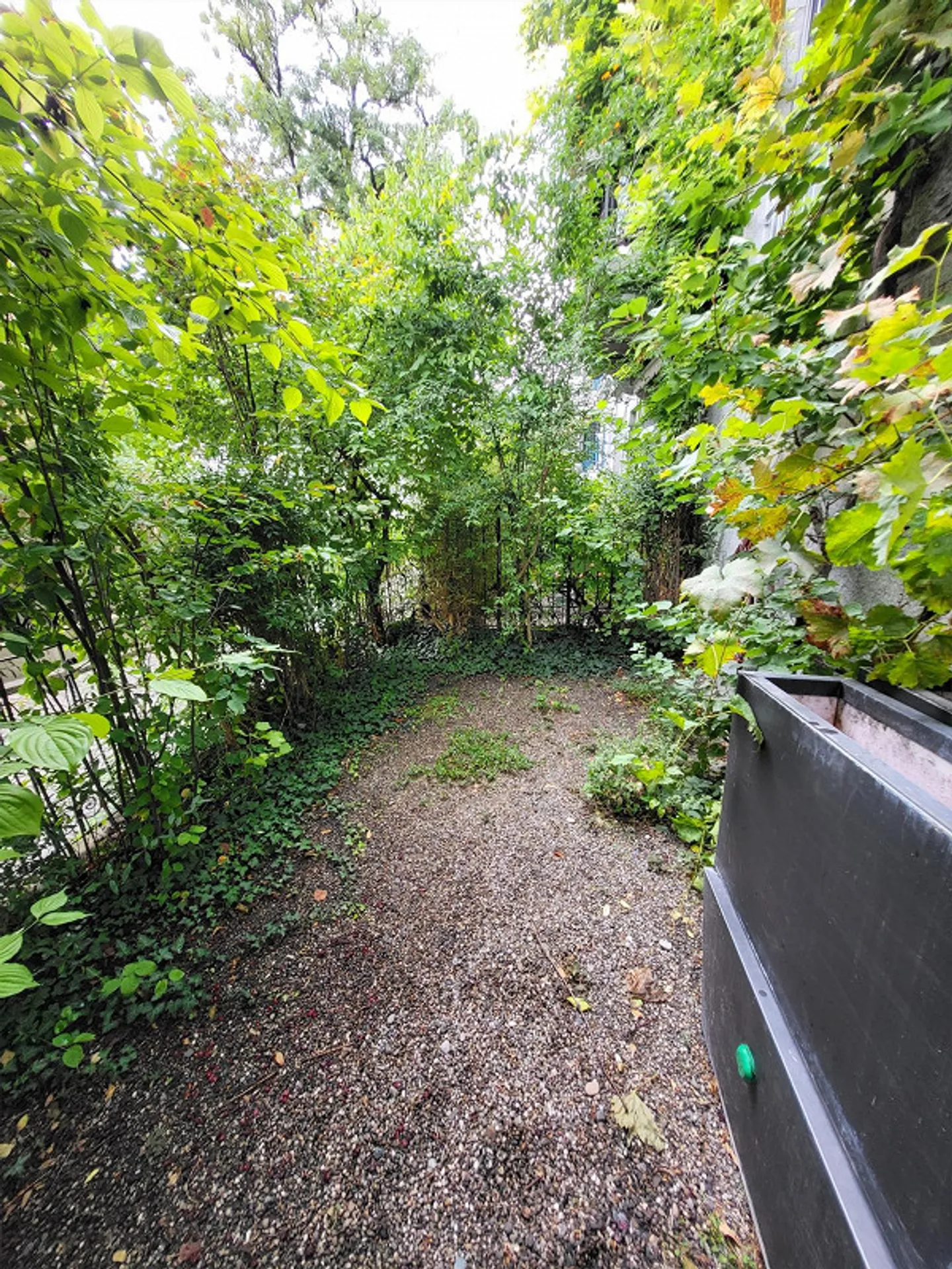 Bijou au milieu de l'étroitesse avec un coin salon vert et confortable - Photo 12 sur 13