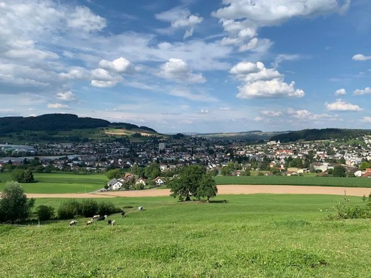 Maison individuelle de 6 1/2 pièces dans un emplacement avec vue dégagée - Photo 3 sur 28