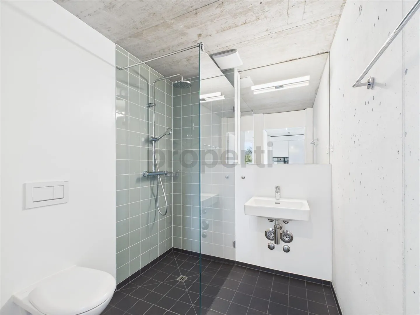 Appartamento attico lussuoso con 3,5 stanze a Therwil, Canton BL - Foto 9 di 13