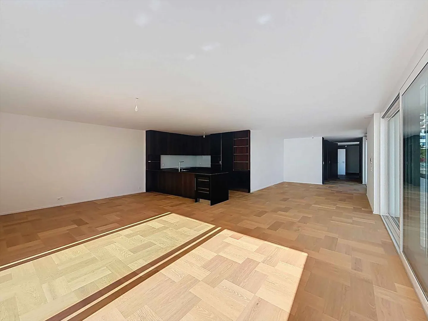 Exceptional 3.5 Room Penthouse - Photo 2 of 13