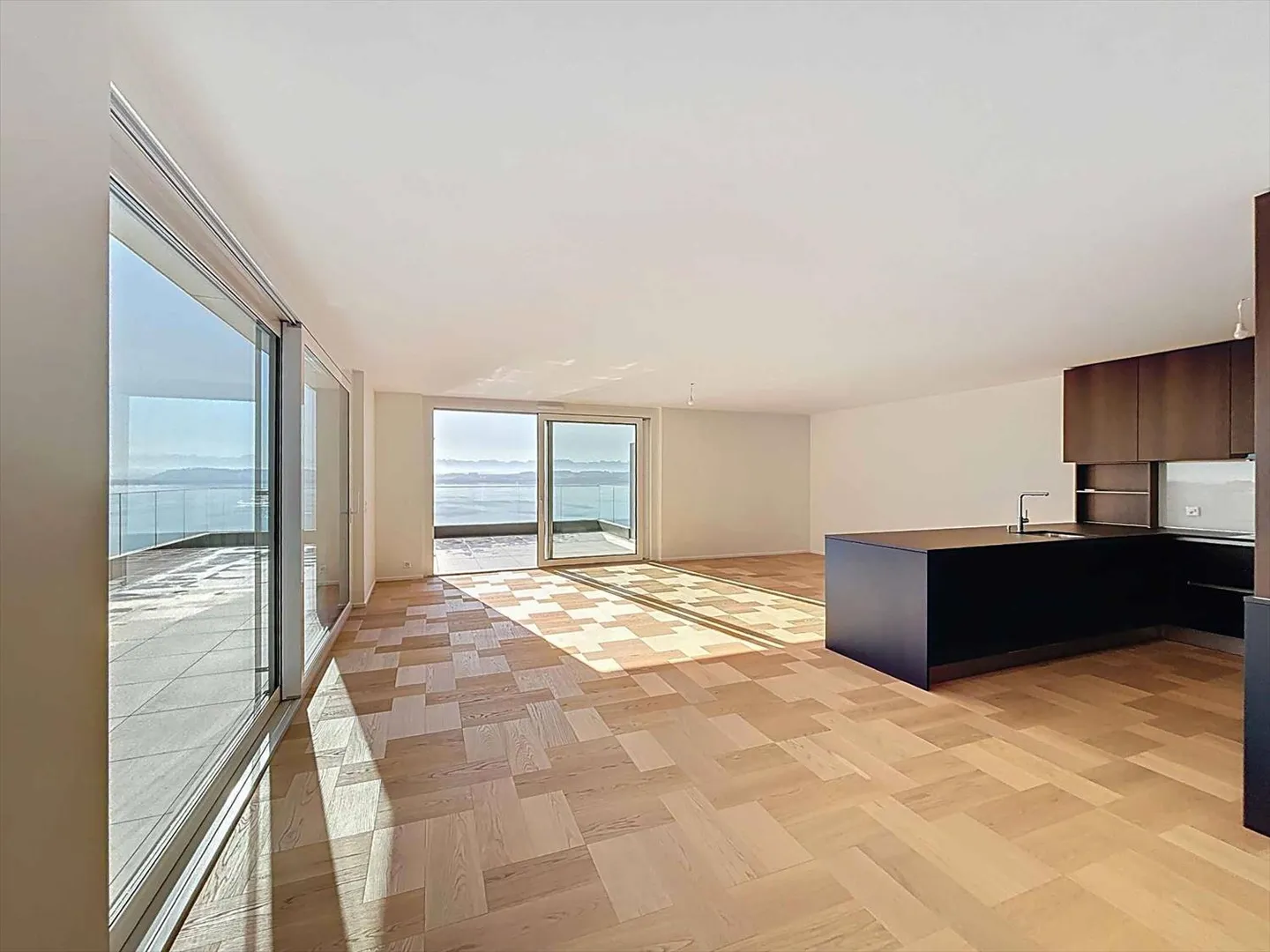 Exceptional 3.5 Room Penthouse - Photo 3 of 13