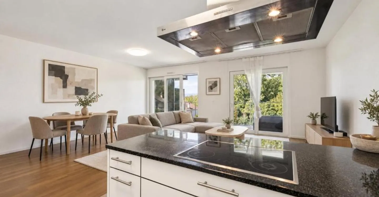 Contemporary Attic in Saint-Sulpice - Photo 4 of 11