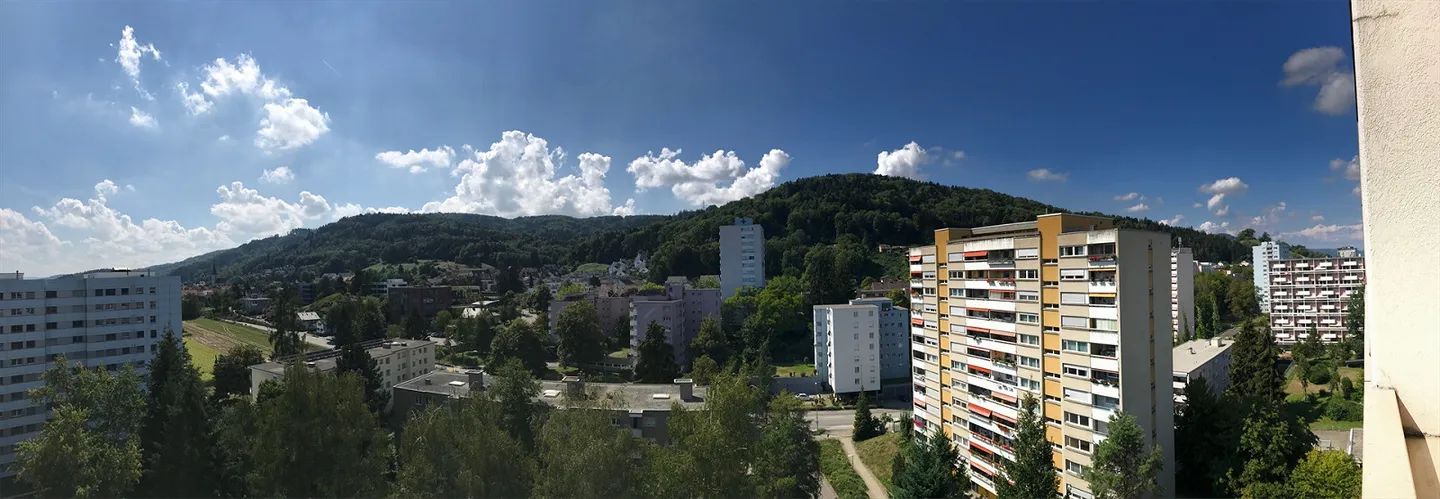 Large 3.5 Room Luxury Maisonette Apartment with Fantastic View - Photo 3 of 17