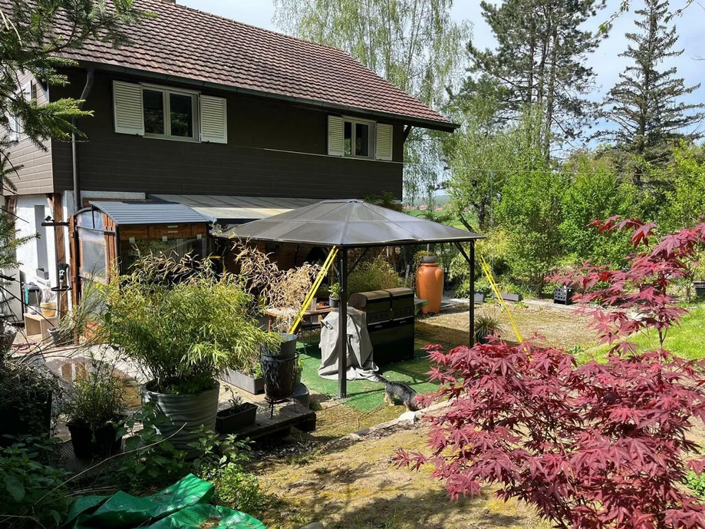 «Maison individuelle» - Photo 4 sur 12