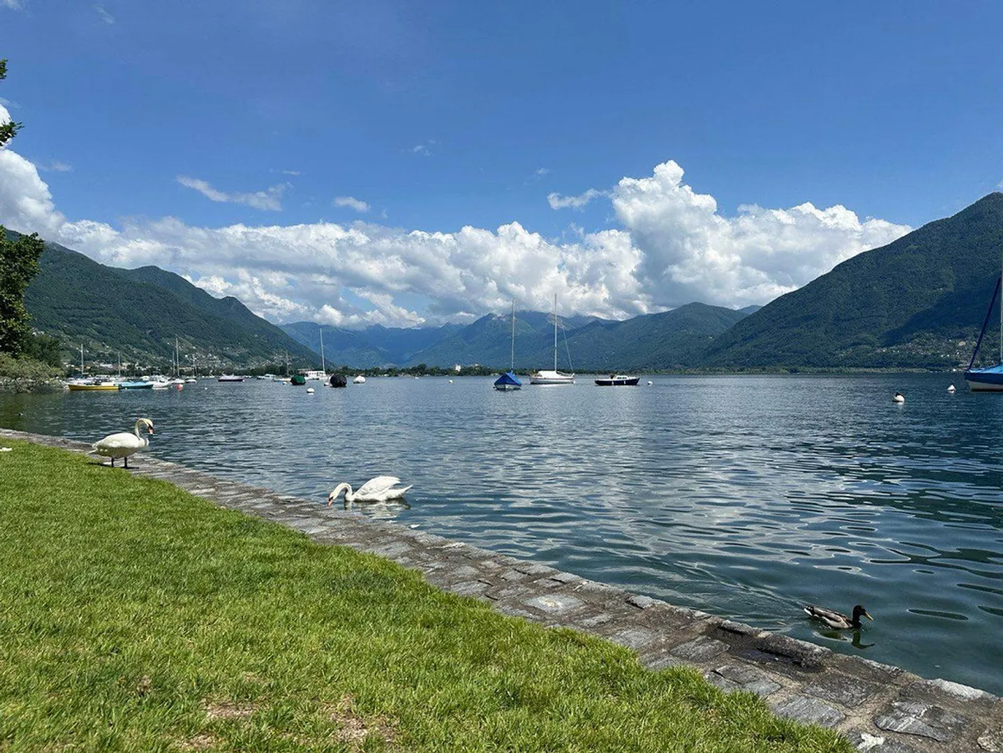 Moderne 2.5 Wohnung im Zentrum von Minusio - Foto 20 von 22