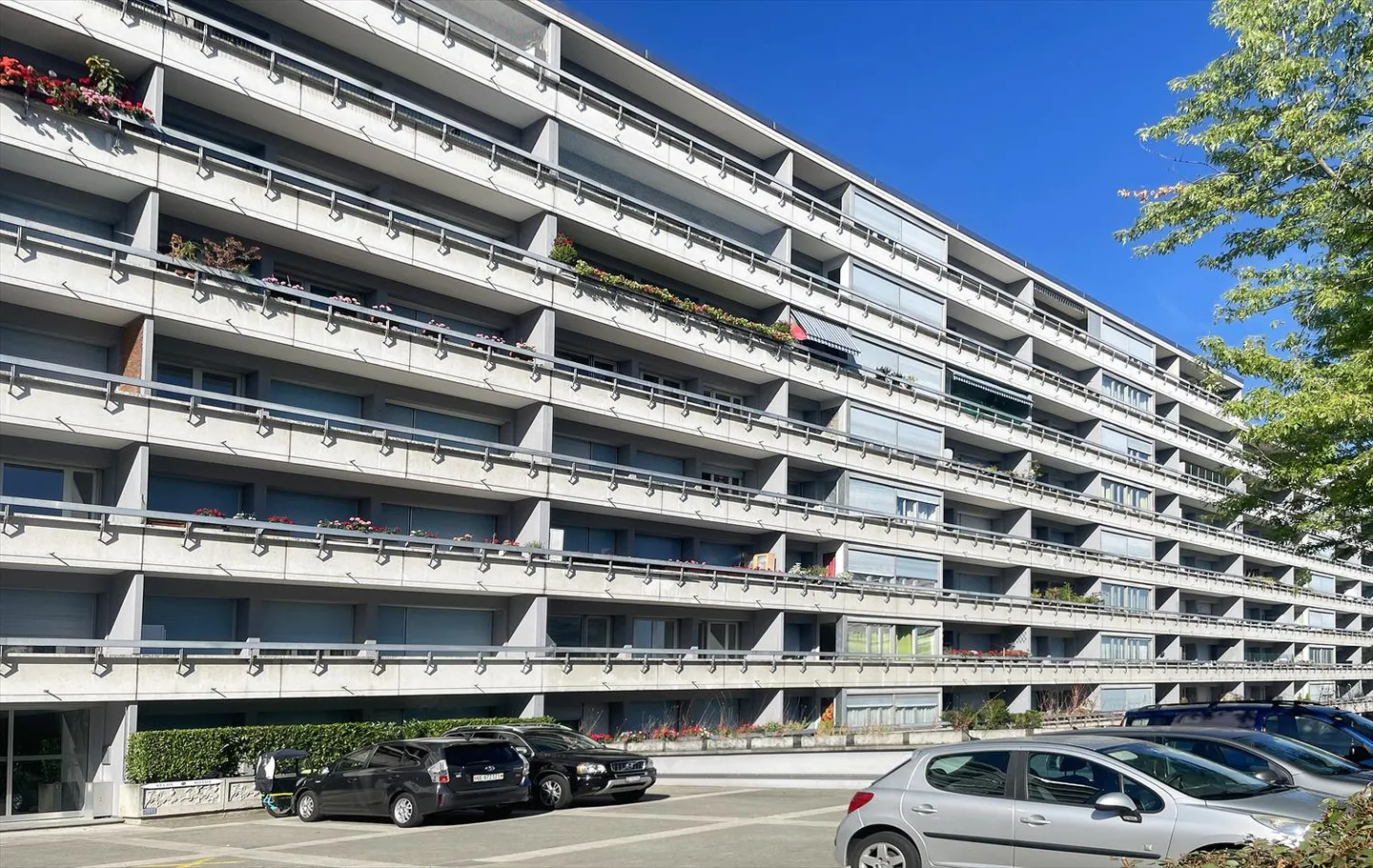 2.5 Room Apartment - Photo 2 of 5