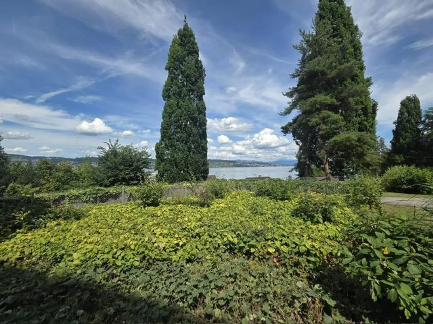 APPARTAMENTO MODERNO 3.5 STANZE CON TERRAZZA E VISTA SUL LAGO A WÄDENSWIL - Foto 15 di 17