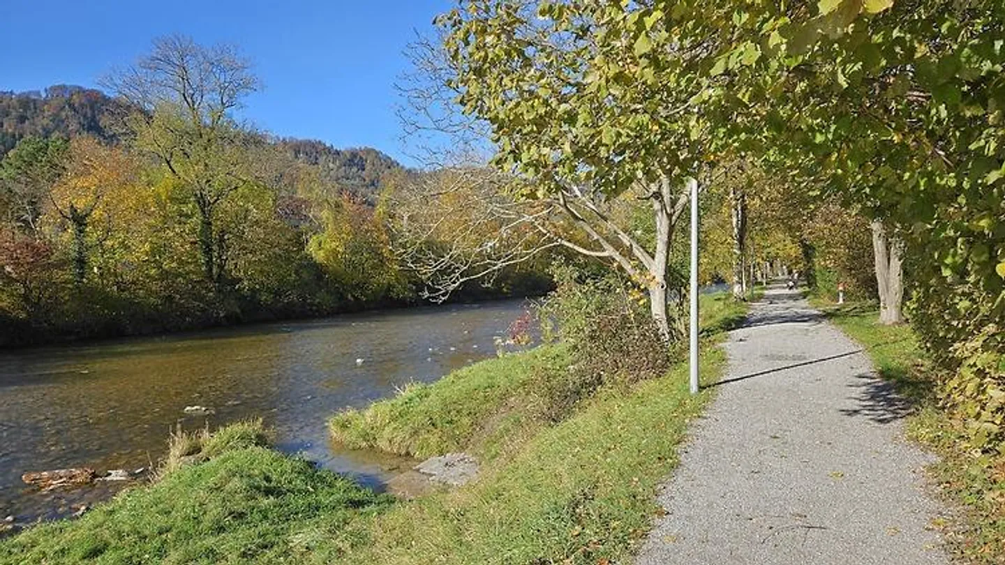 Charmante Wohnung in Adliswil - Foto 10 von 10