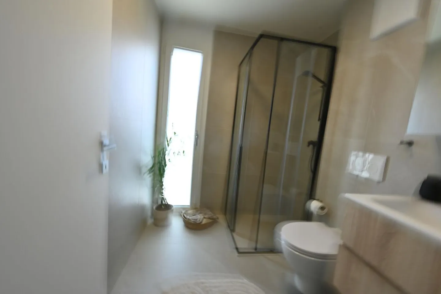 Attique Duplex à Conthey - Photo 11 sur 13
