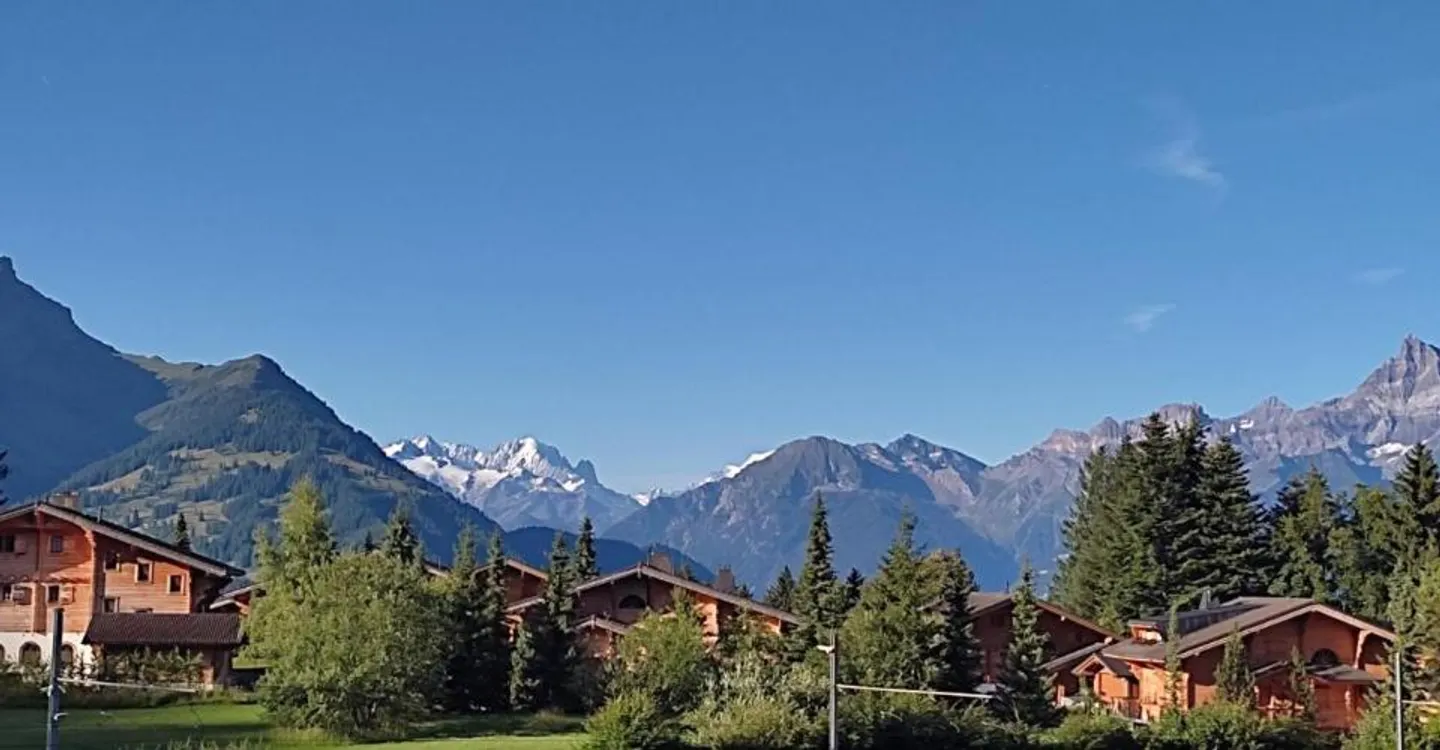 3-Zimmer-Wohnung in Villars-sur-Ollon - Foto 2 von 8
