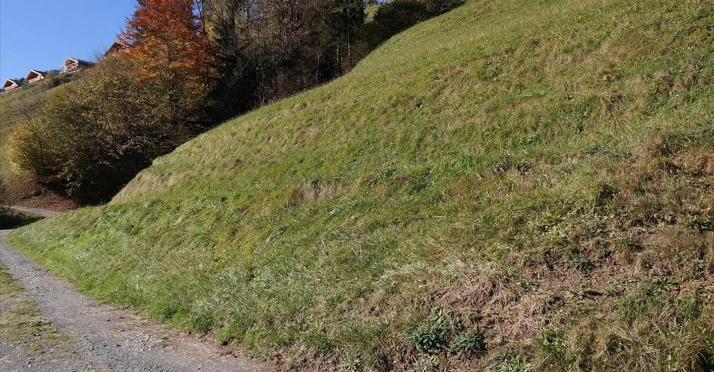 Building land - Photo 4 of 10
