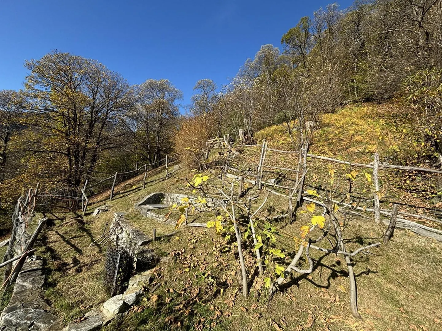 Charmantes Rustico in Vogorno - Foto 11 von 30