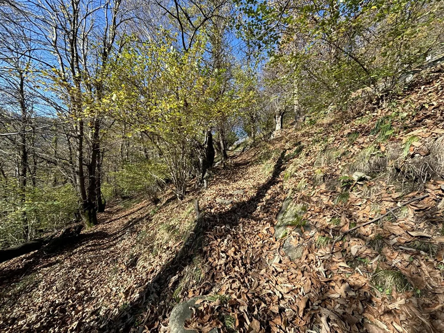 Charmantes Rustico in Vogorno - Foto 21 von 30