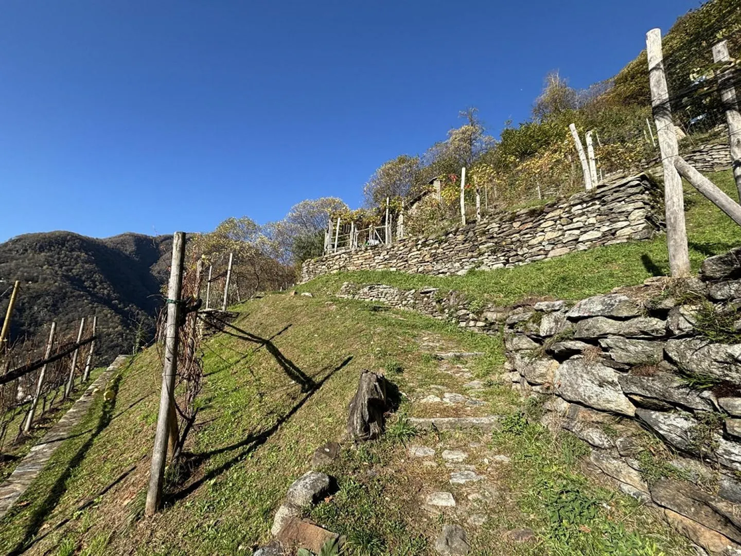 Charmantes Rustico in Vogorno - Foto 24 von 30