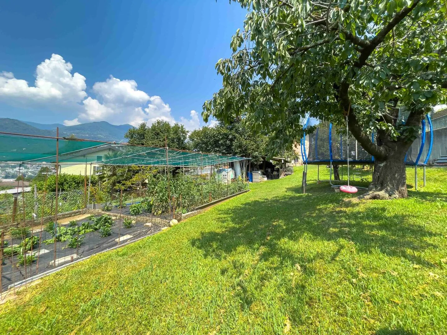 Terreno per progetto immobiliare a Cadempino - Foto 1 di 3