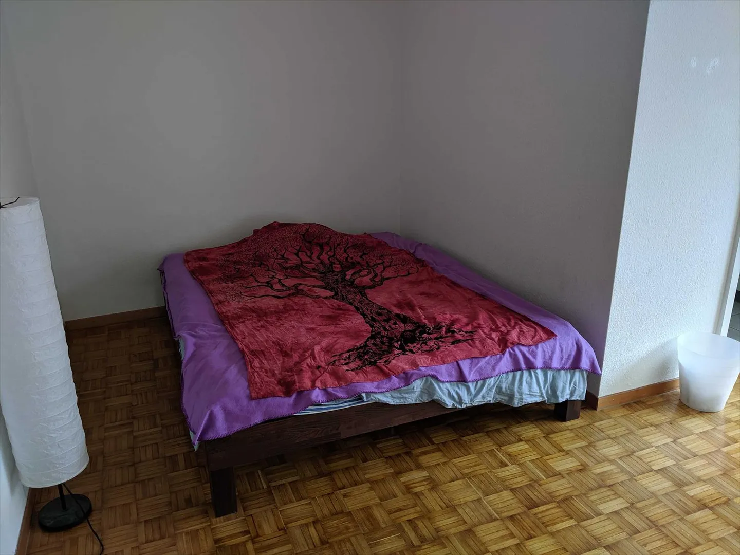 Appartamento singolo in una posizione privilegiata! - Foto 3 di 7
