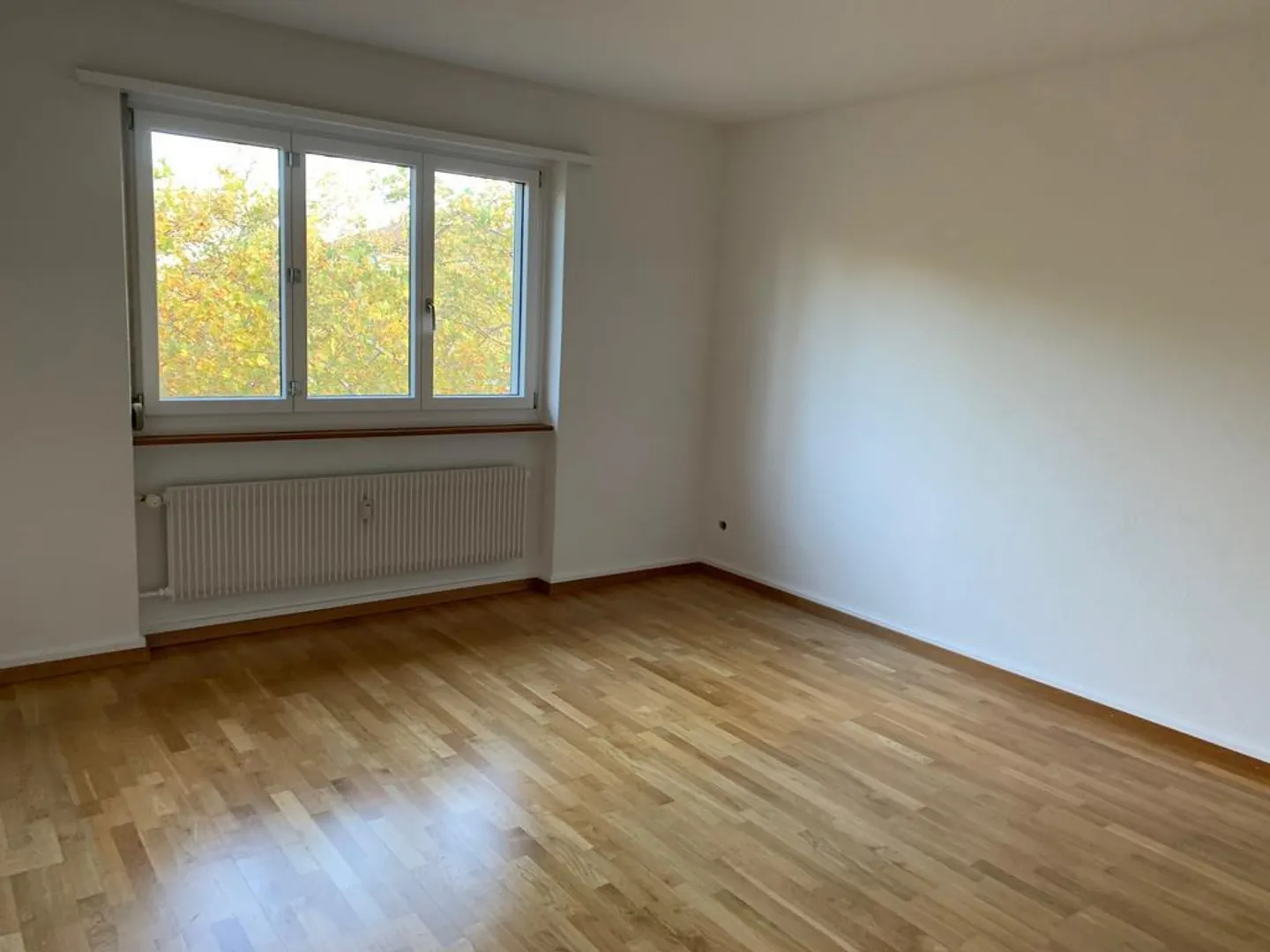 Central 2-room apartment for rent - Photo 5 of 7