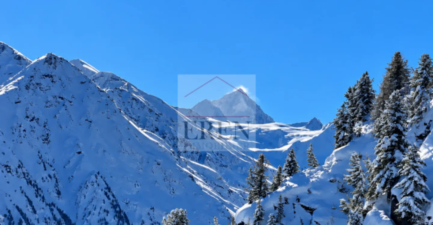 Magnificent chalet in Grimentz - Alpine panorama, sun, spa & sauna - Photo 8 of 10