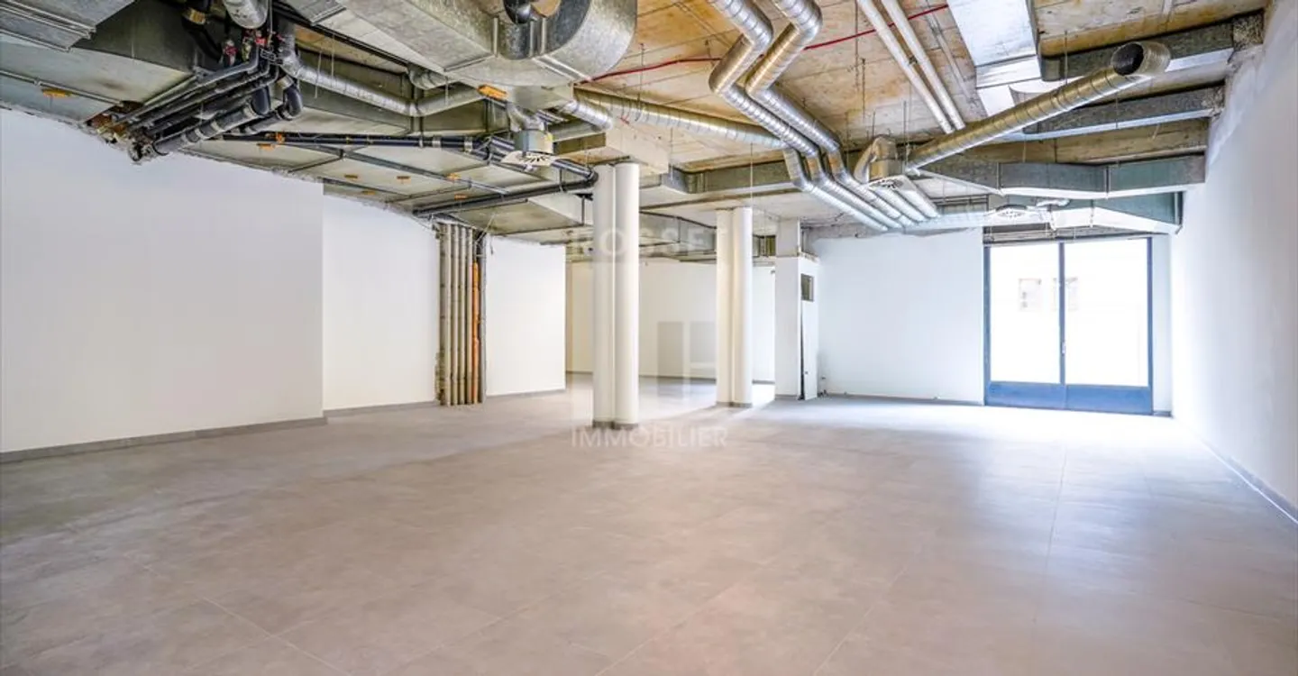 Magasin à louer - Photo 1 sur 11