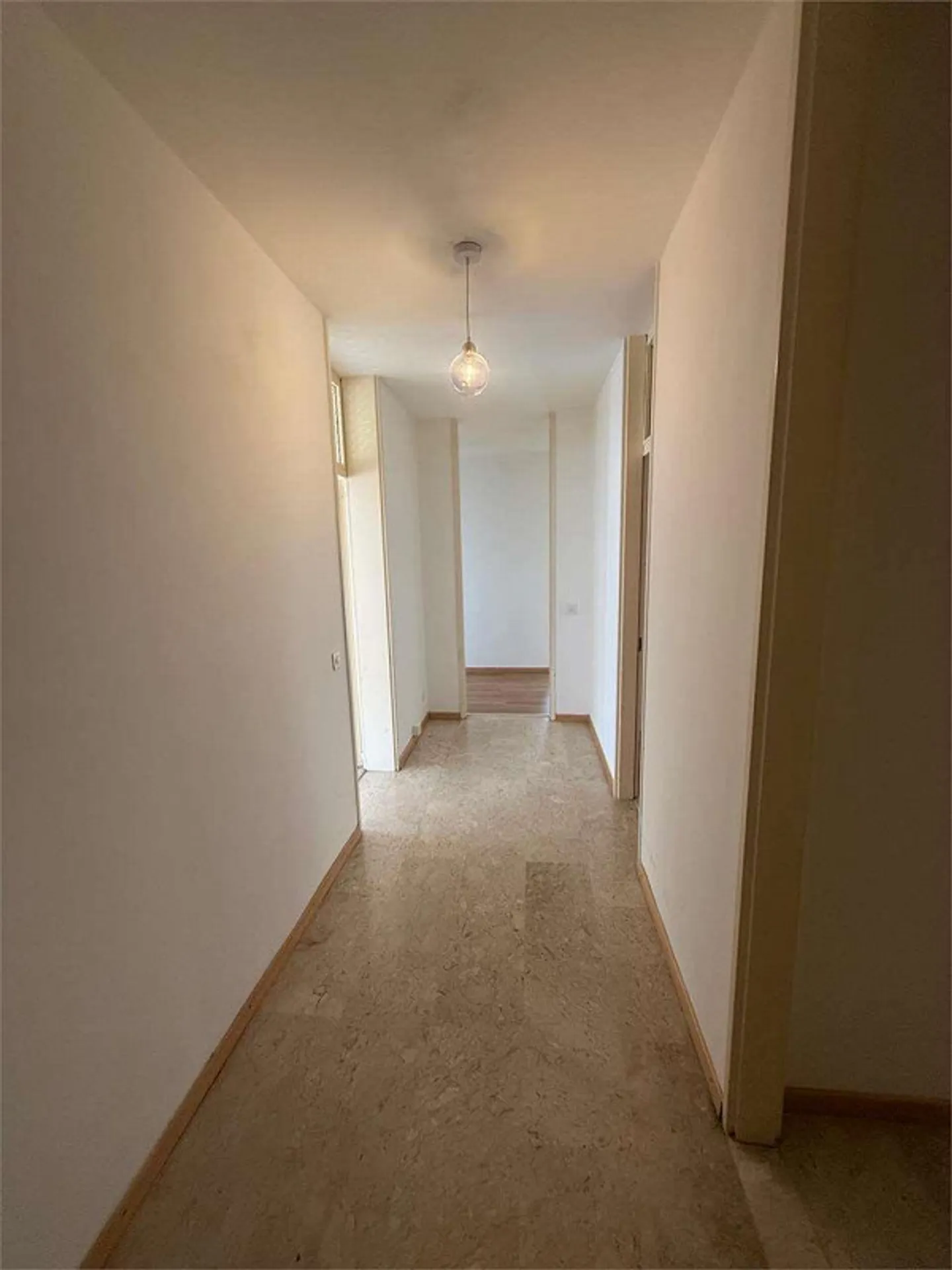 Lugano - Geräumige 4.5 Zimmer mit Doppelwohnzimmer und 5 Terrassen - Foto 2 von 13