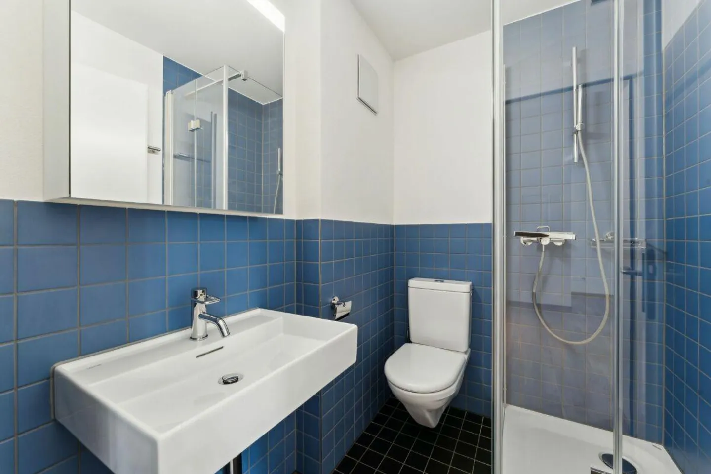 Appartamento 1.5 stanze appena ristrutturato con carattere loft - Foto 4 di 4