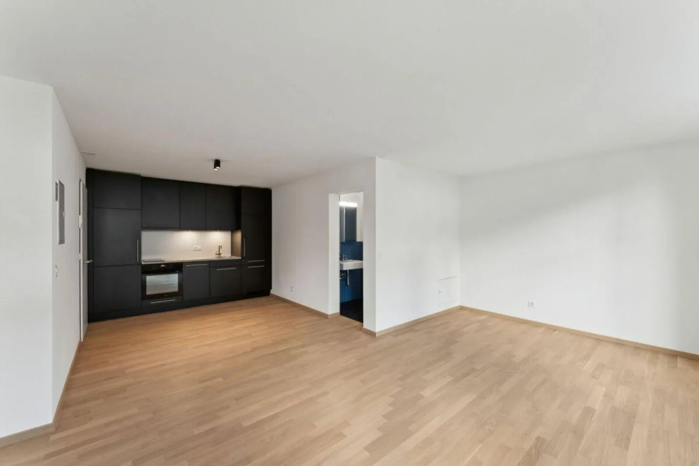 Appartamento 1.5 stanze appena ristrutturato con carattere loft - Foto 2 di 4