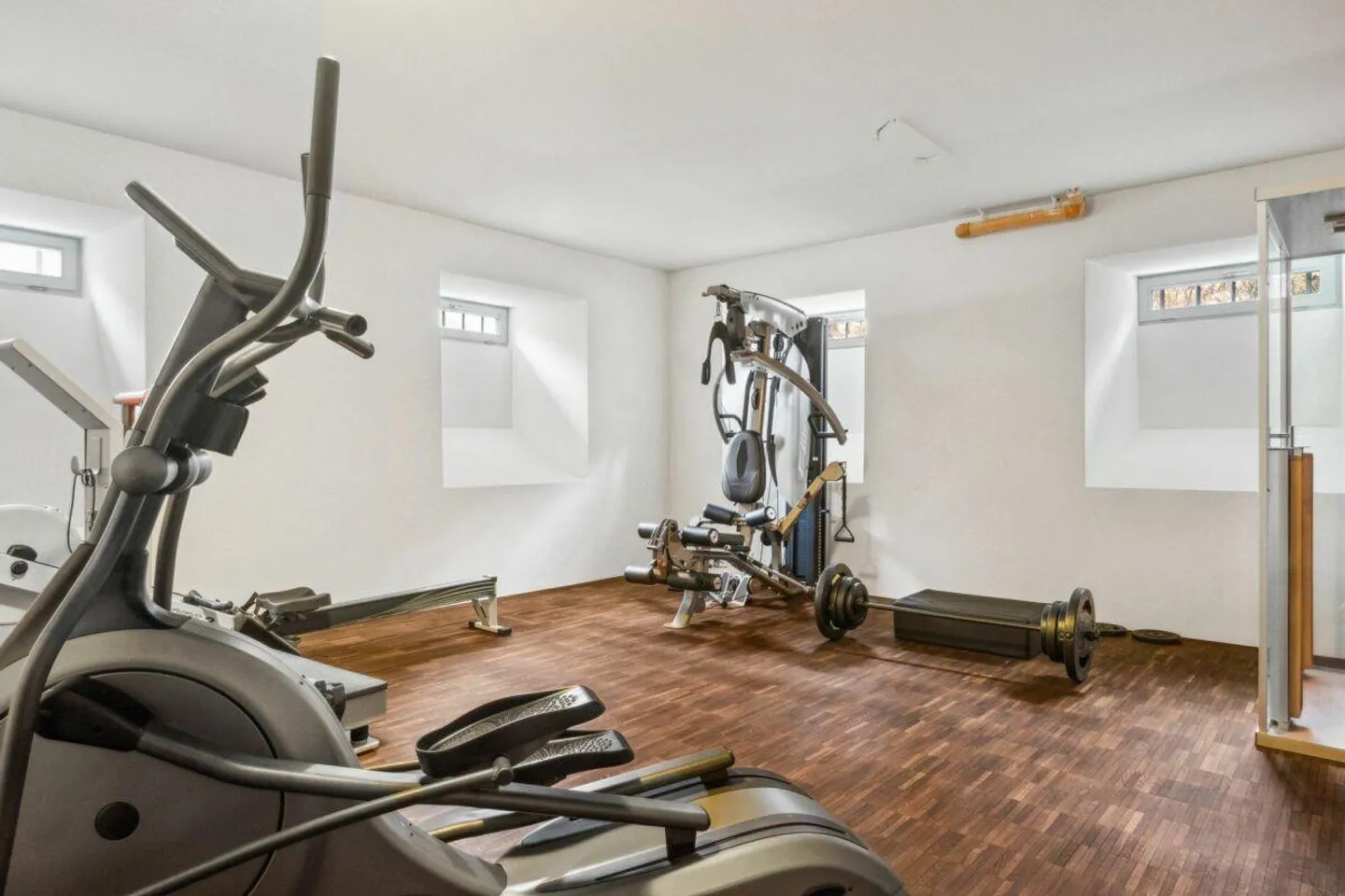 Factory Villa with Private Island on the Reuss - Photo 6 of 12