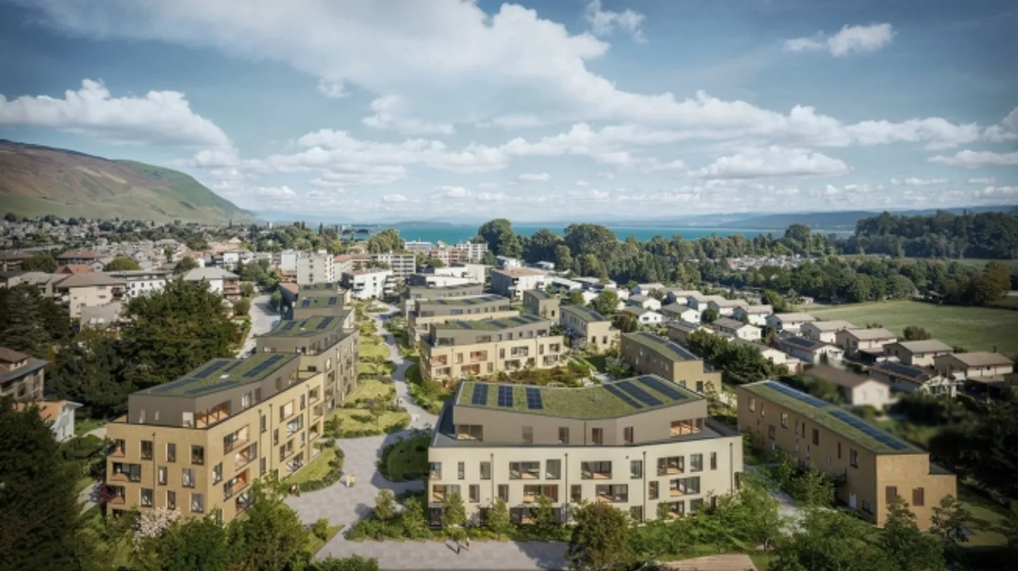 «Die Pfirsiche hinter der Kirche - Los C3.01» - Foto 3 von 7